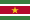 Bandeira do Suriname