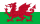 Bandeira do País de Gales