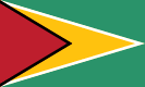 Bandeira da Guiana