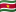 Bandeira do Suriname