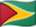 Bandeira da Guiana