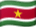 Bandeira do Suriname