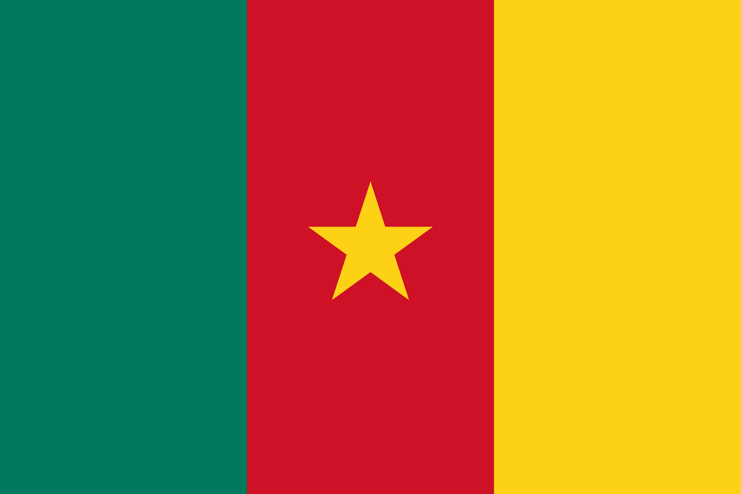 Resultado de imagem para CamarÃµes Bandeira