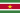 Bandeira do Suriname