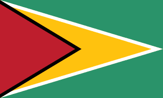 Bandeira da Guiana