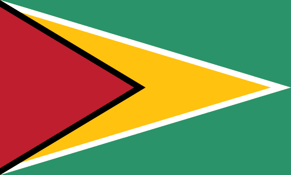 Bandeira da Guiana