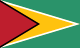 Bandeira da Guiana