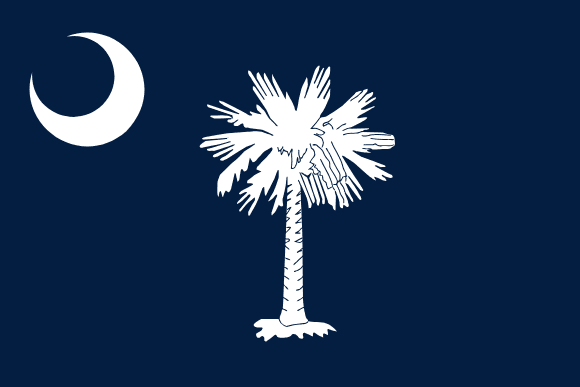 Bandeira da Carolina do Sul